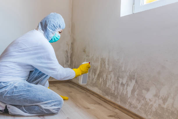 Licensed Mold Remediation service in Bloxom, VA - 24 Hour Mold Removal