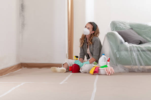 Reliable Mold Remediation contractor in Bloxom, VA by 24 Hour Mold Removal